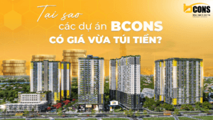 TAI SAO CAC DU AN BCONS CO GIA VUA TUI TIEN