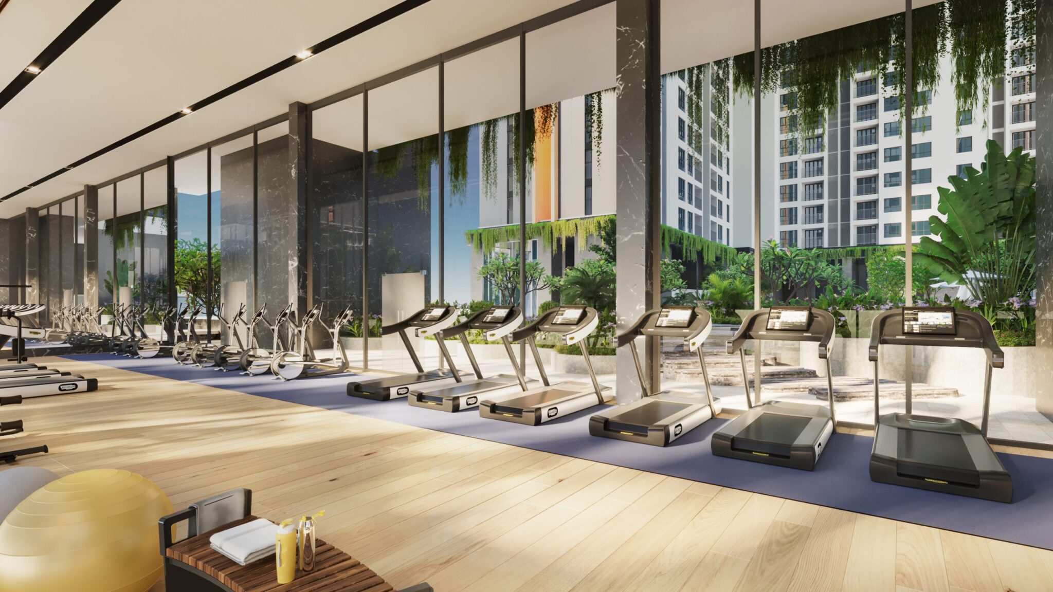 phòng tập gym dự án